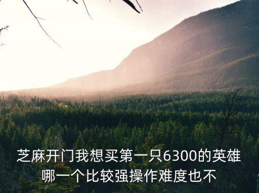 杭州润趣手游红蓝英雄怎么样，有高手看看这武将咋样