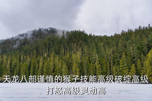 天龙八部谨慎的猴子技能高级破绽高级打怒高级灵动高