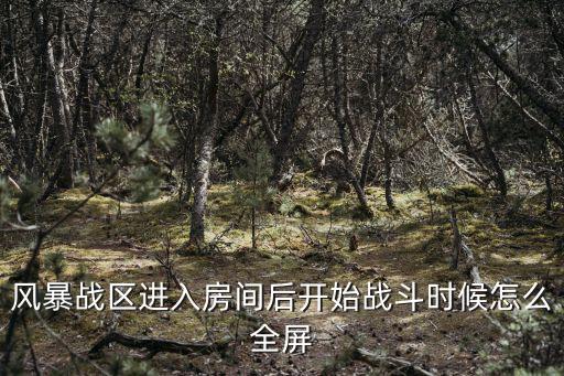 风暴岛手游怎么开全屏，这个游戏怎么设置全屏啊