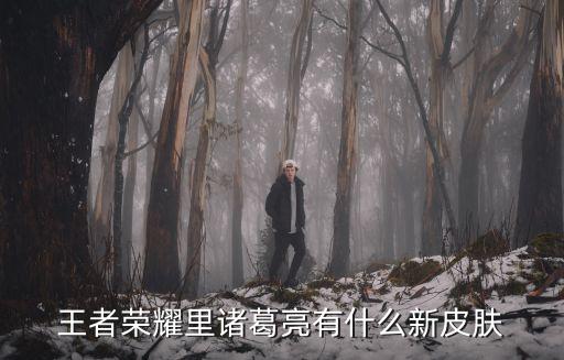 王者荣耀里诸葛亮有什么新皮肤