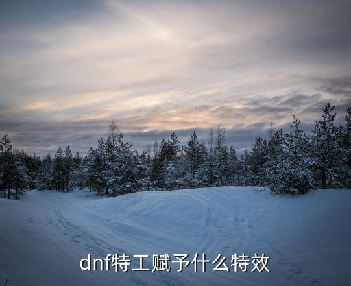 dnf特工武器带什么属性，dnf特工赋予什么特效