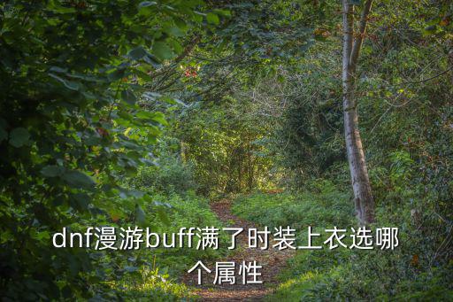 dnf漫游buff满了时装上衣选哪个属性