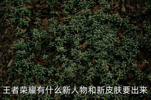 王者荣耀新皮肤新传说有哪些，王者荣耀有什么新人物和新皮肤要出来