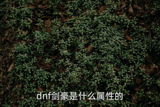 dnf剑豪是什么属性的
