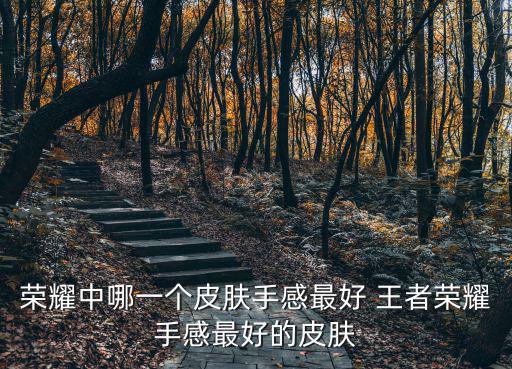 荣耀中哪一个皮肤手感最好 王者荣耀手感最好的皮肤