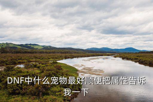 DNF中什么宠物最好顺便把属性告诉我一下