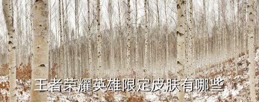 王者荣耀英雄限定皮肤有哪些