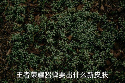 王者荣耀貂蝉要出什么新皮肤