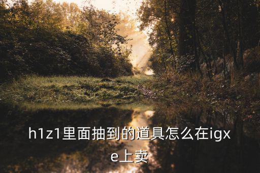 h1z1里面抽到的道具怎么在igxe上卖