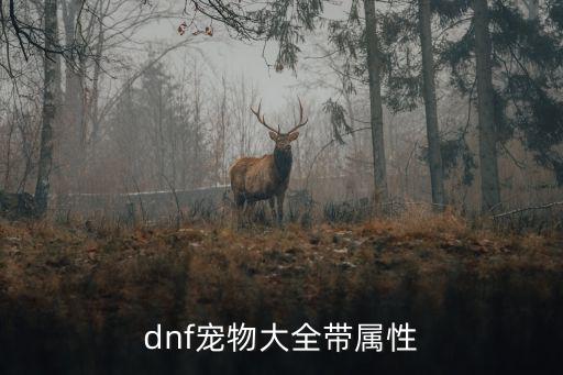 dnf宠物大全带属性