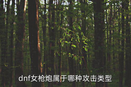 dnf女枪炮属于什么属性，dnf女枪的属性