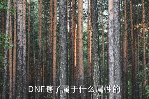 DNF瞎子属于什么属性的