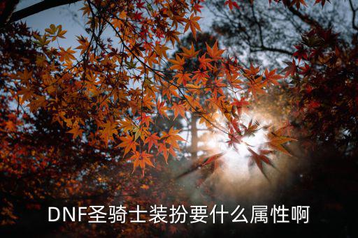 dnf圣骑士靠什么属性，DNF圣骑士装扮要什么属性啊