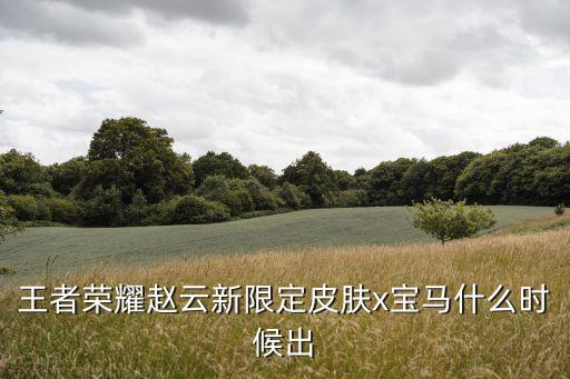 王者荣耀赵云新限定皮肤x宝马什么时候出