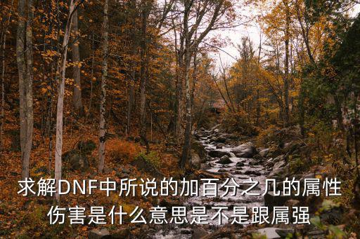 求解DNF中所说的加百分之几的属性伤害是什么意思是不是跟属强