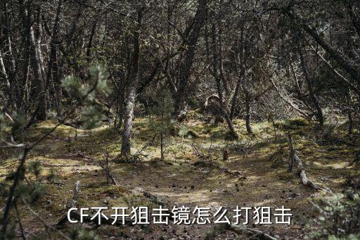 CF不开狙击镜怎么打狙击
