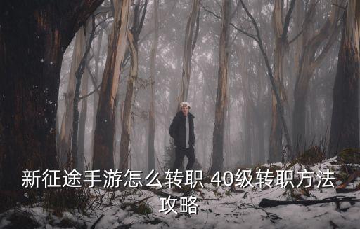 新征途手游怎么转职 40级转职方法攻略