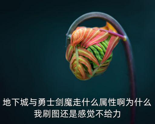 地下城与勇士剑魔走什么属性啊为什么我刷图还是感觉不给力