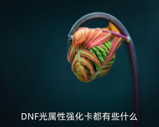 DNF光属性强化卡都有些什么