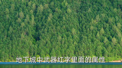 地下城中武器红字里面的属性