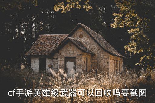 cf手游英雄级武器可以回收吗要截图