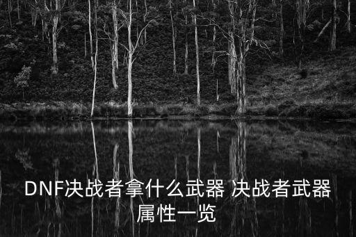 DNF决战者拿什么武器 决战者武器属性一览