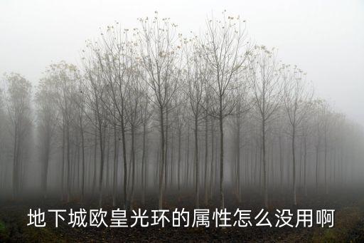 地下城欧皇光环的属性怎么没用啊