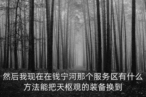 然后我现在在钱宁河那个服务区有什么方法能把天枢覌的装备换到