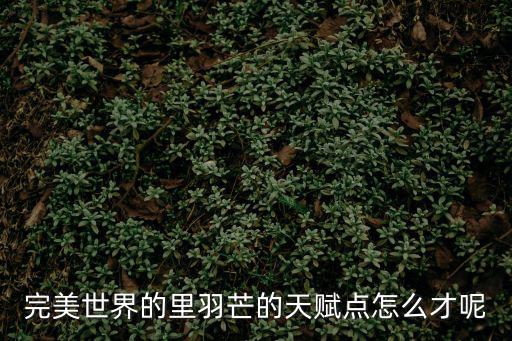 完美世界的里羽芒的天赋点怎么才呢