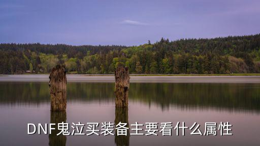 DNF鬼泣买装备主要看什么属性