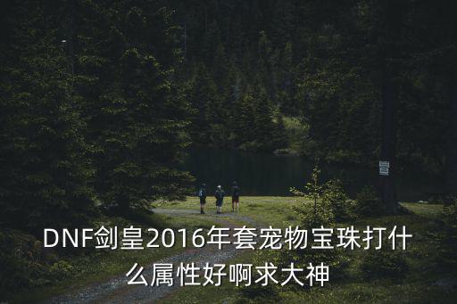 DNF剑皇2016年套宠物宝珠打什么属性好啊求大神