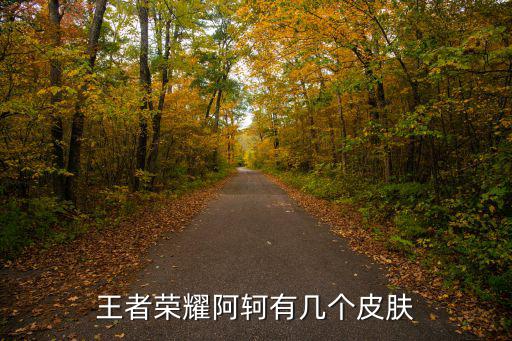 王者荣耀阿轲有几个皮肤