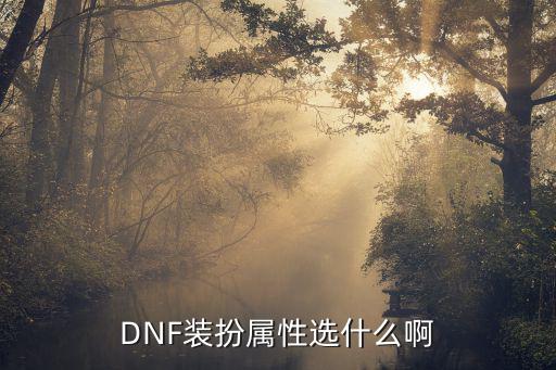 dnf团长装扮选什么属性，DNF时装属性选择