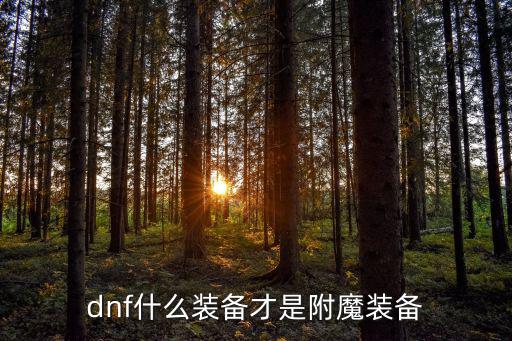 dnf什么装备才是附魔装备