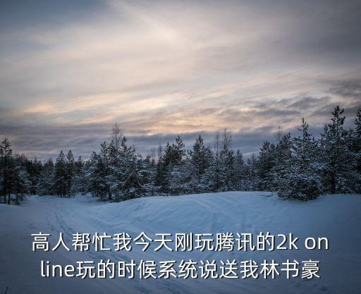 高人帮忙我今天刚玩腾讯的2k online玩的时候系统说送我林书豪