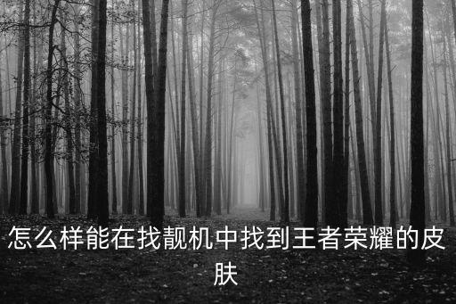 怎么样能在找靓机中找到王者荣耀的皮肤
