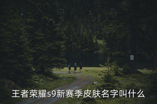 王者荣耀s9新赛季皮肤名字叫什么