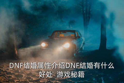 DNF结婚属性介绍DNF结婚有什么好处  游戏秘籍