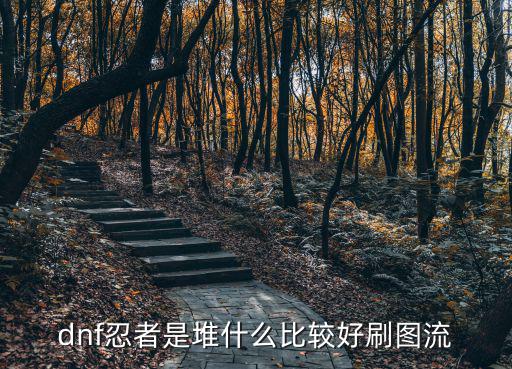 dnf忍者是堆什么比较好刷图流