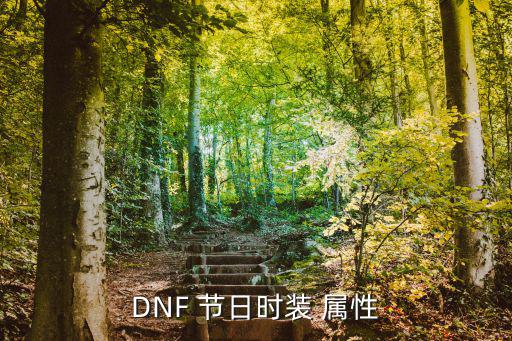 dnf节日套是什么属性，DNF 节日时装 属性