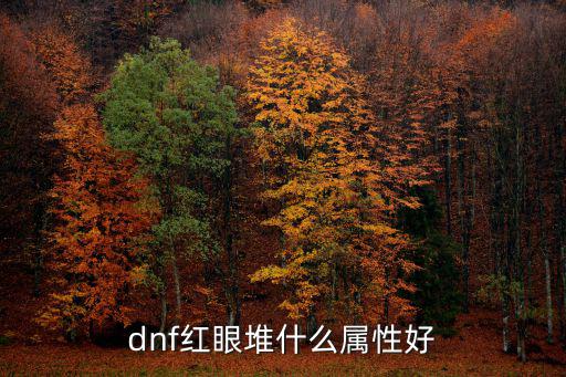 dnf红眼堆什么属性好