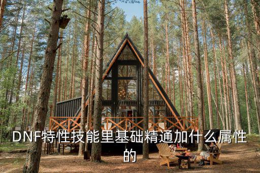 DNF特性技能里基础精通加什么属性的