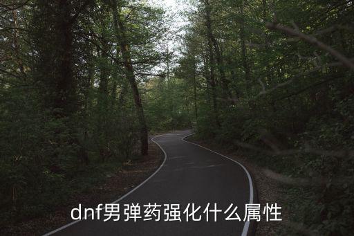 dnf男弹药增幅什么属性，dnf男弹药强化什么属性