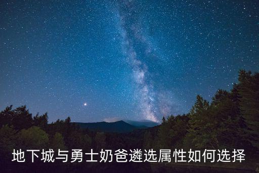 地下城与勇士奶爸遴选属性如何选择