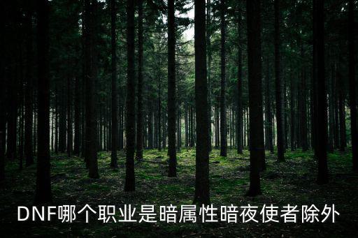dnf什么角色是暗属性，DNF里4047级里的怪哪些是暗属性攻击