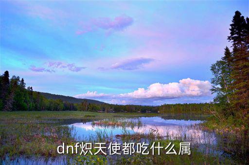 dnf炽天使玩什么属性，dnf 炽天使是固伤还是百分比