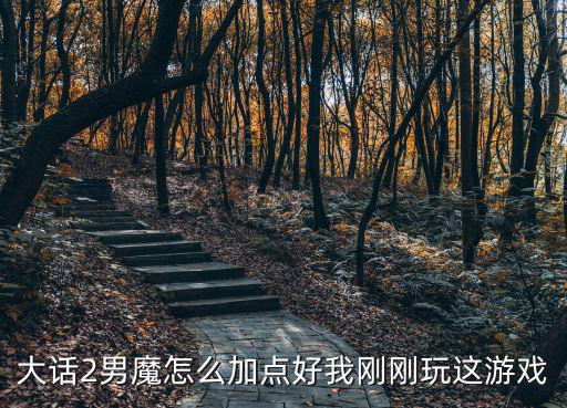 大话2男魔怎么加点好我刚刚玩这游戏