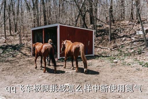 qq飞车极限挑战怎么样中断使用氮气
