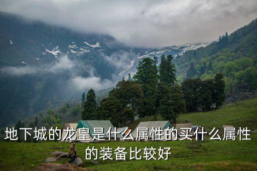 地下城的龙皇是什么属性的买什么属性的装备比较好