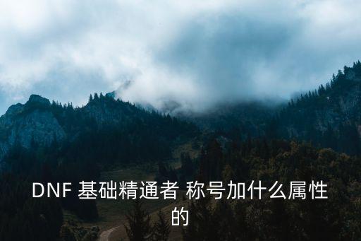 DNF 基础精通者 称号加什么属性的
